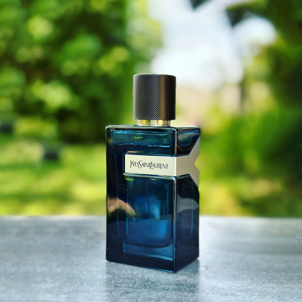 YSL Y De Parfum Intense